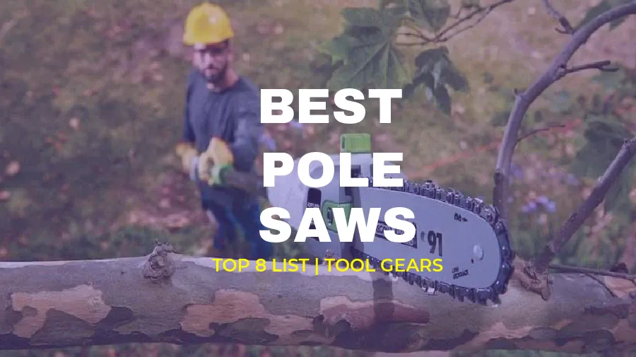 Best Pole Saws - Reviews & Buying Guide